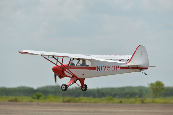 Phoenix Models 40/50cc Super Cub - PH114