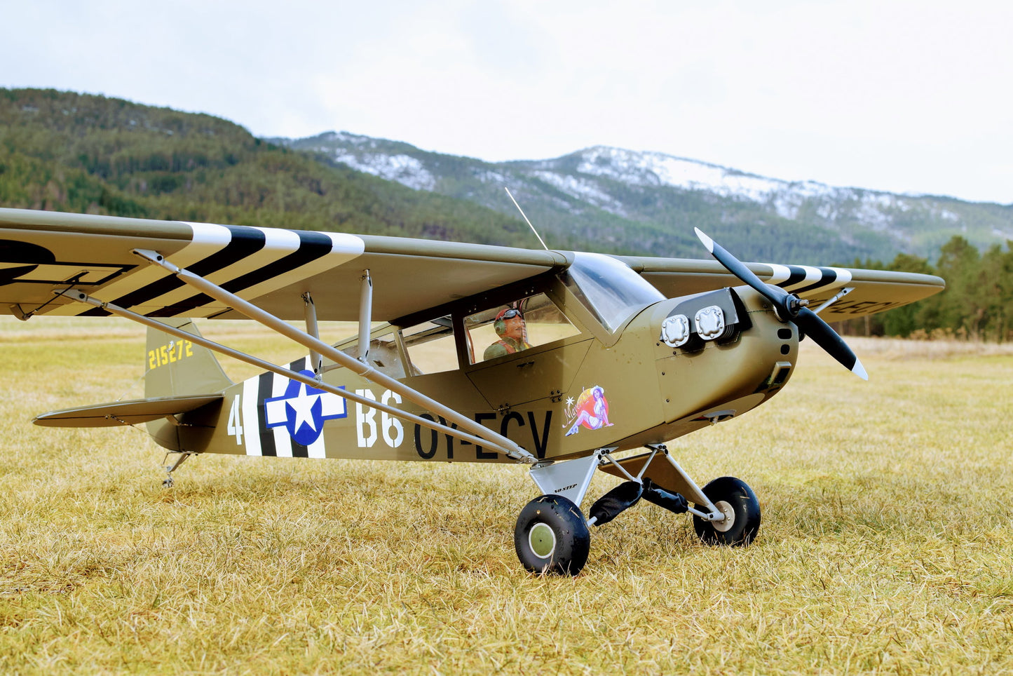Seagull Models L-4 Grasshopper (SEA325)