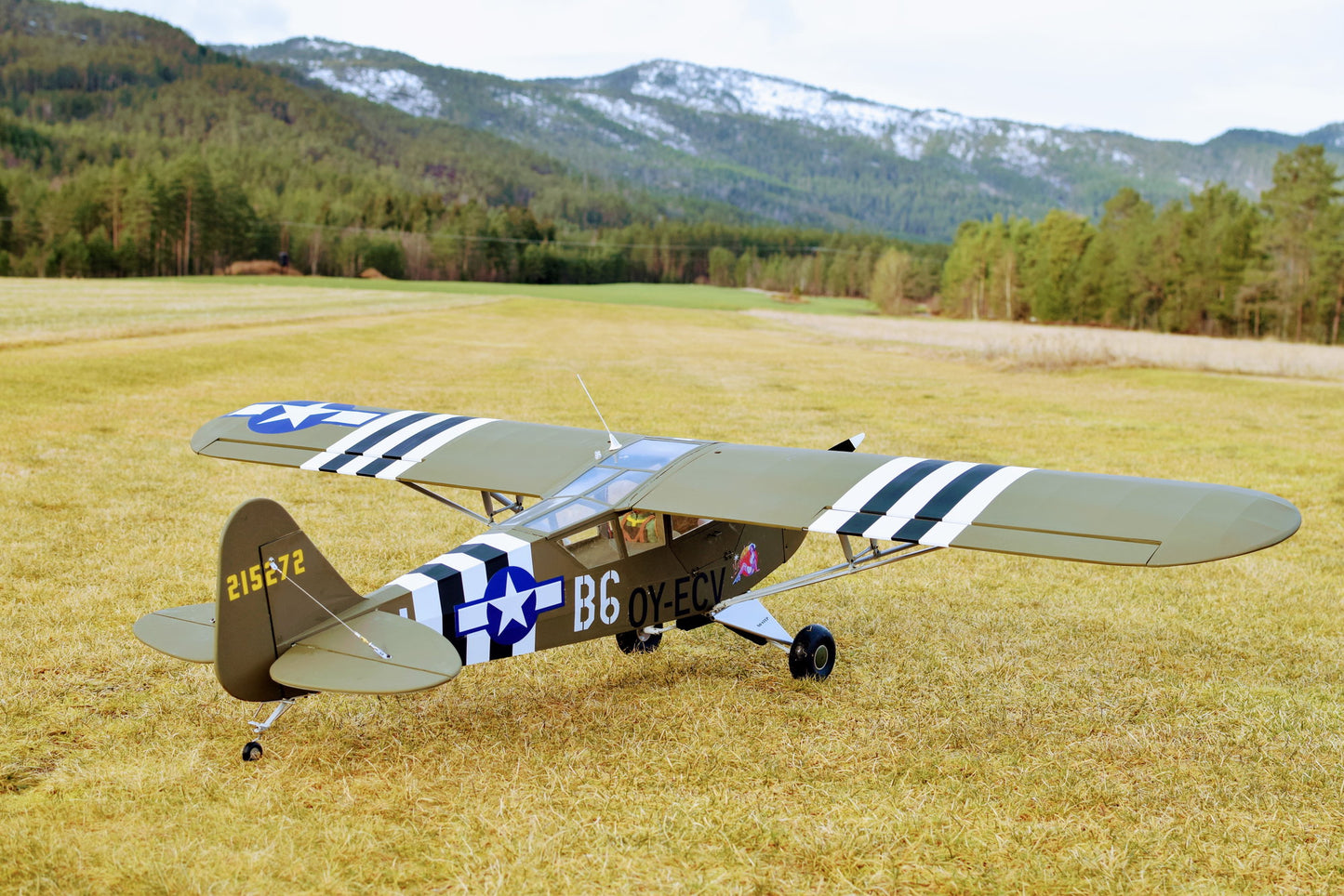 Seagull Models L-4 Grasshopper (SEA325)
