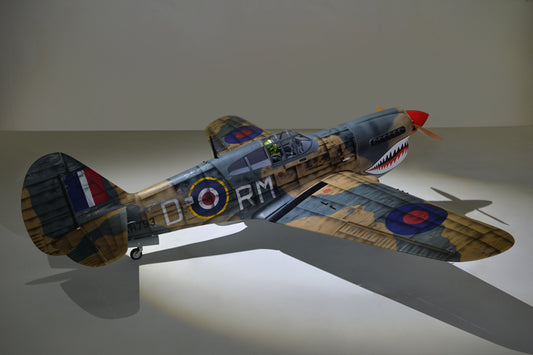 Phoenix Models 50cc P40 Warhawk - PH216